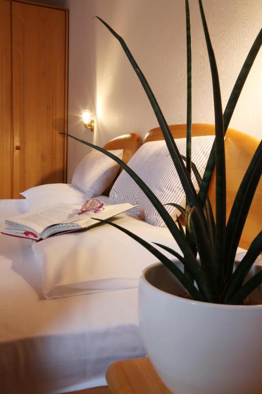 Appartamento con 2 Camere da Letto e Balcone